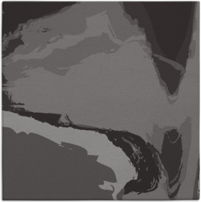 slick rug - item 728894