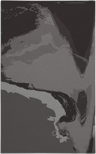 slick rug - item 729598