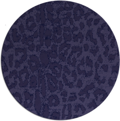 reserve rug - item 731648