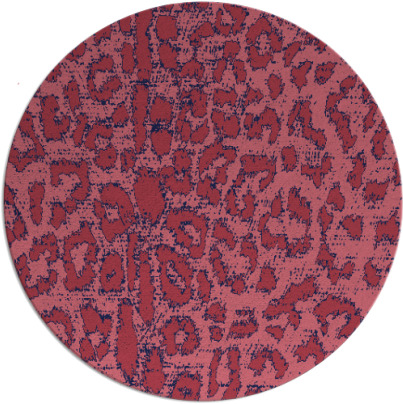 reserve rug - item 731656