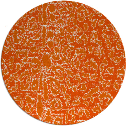 reserve rug - item 731831