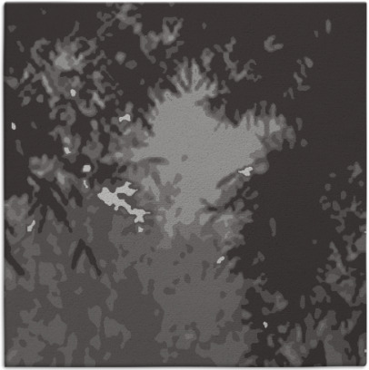 celebration rug - item 772770