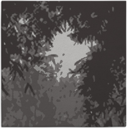 celebration rug - item 772772