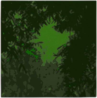 celebration rug - item 772794