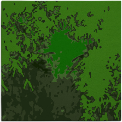 celebration rug - item 772795