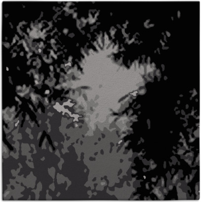 celebration rug - item 772898