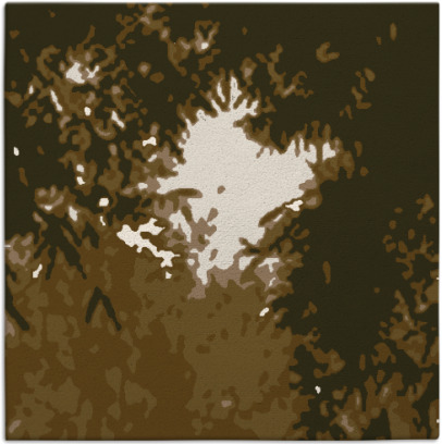 celebration rug - item 772904