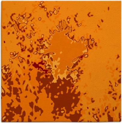 celebration rug - item 772915