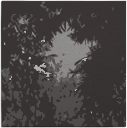 celebration rug - item 772925