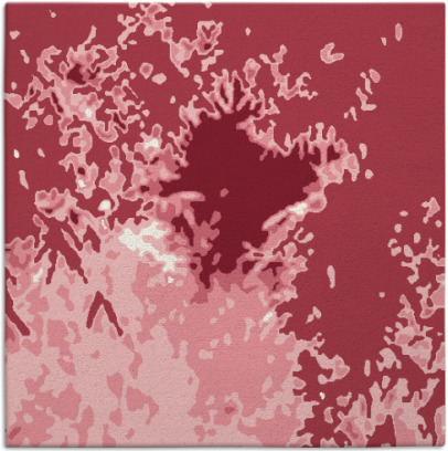 celebration rug - item 772939