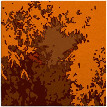 celebration rug - item 772982