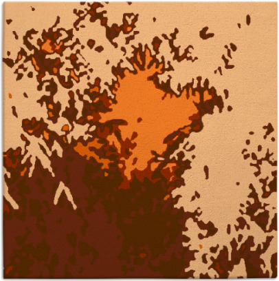 celebration rug - item 772986