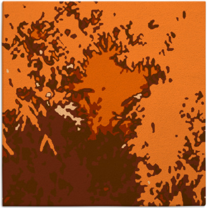 celebration rug - item 772987