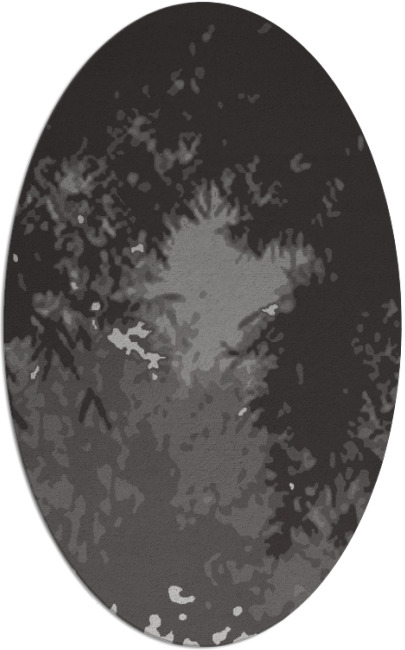 celebration rug - item 773122