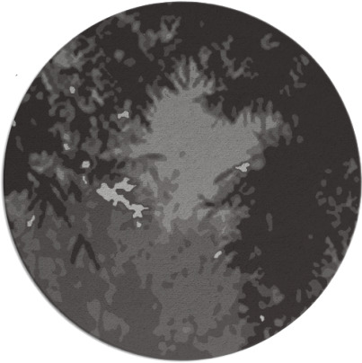 celebration rug - item 773826