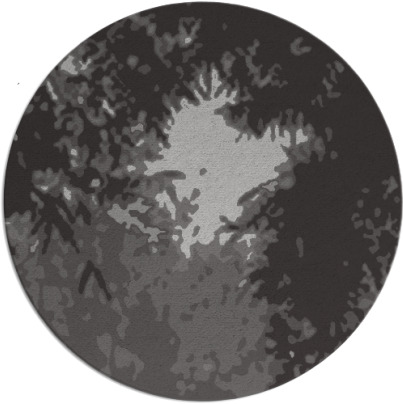 celebration rug - item 773828