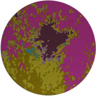 celebration rug - item 773846