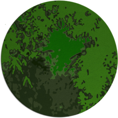 celebration rug - item 773851