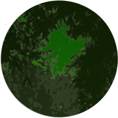 celebration rug - item 773852