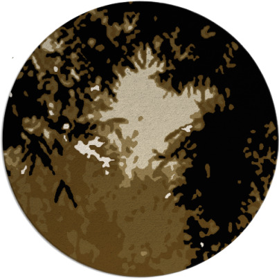 celebration rug - item 773858