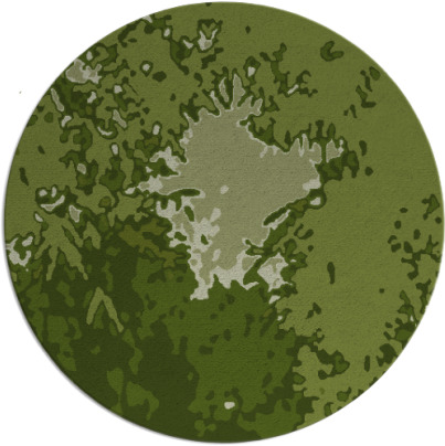 celebration rug - item 773906