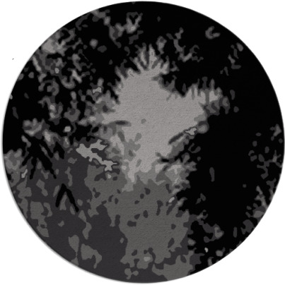 celebration rug - item 773956