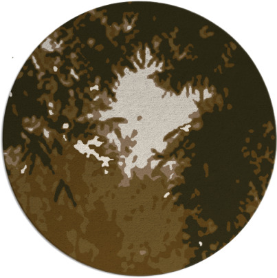 celebration rug - item 773960