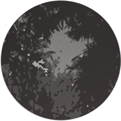 celebration rug - item 773981