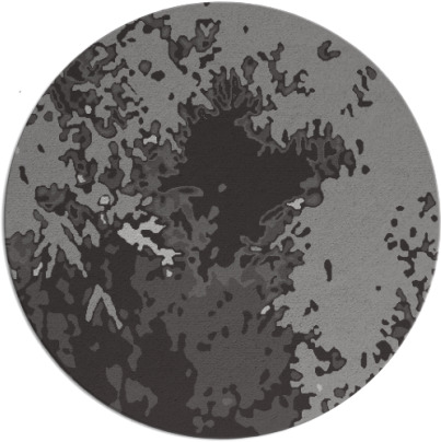 celebration rug - item 773983