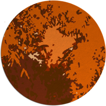 celebration rug - item 774041