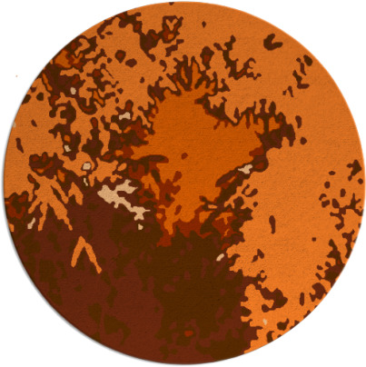 celebration rug - item 774043