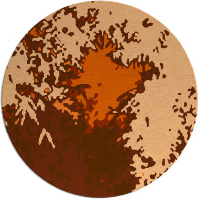 celebration rug - item 774044