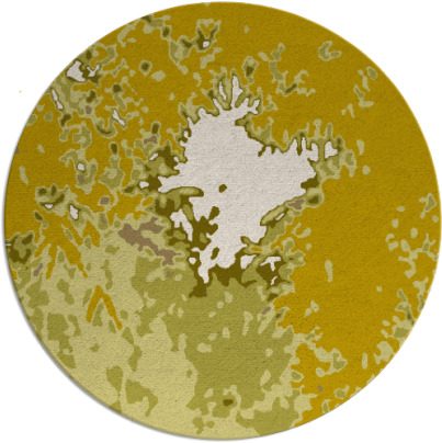 celebration rug - item 774048