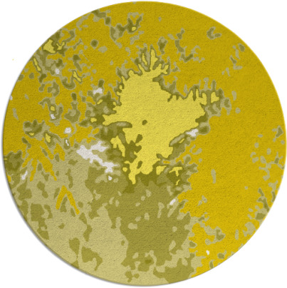 celebration rug - item 774058