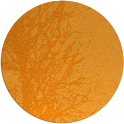 collected branches rug - item 813664