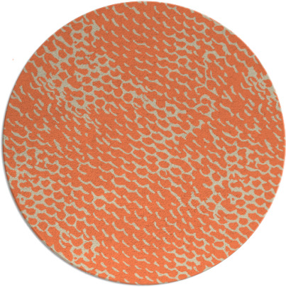 sideways rug - item 816358