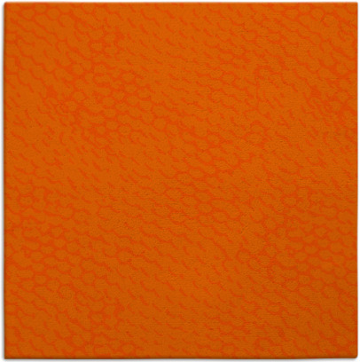 sideways rug - item 818424