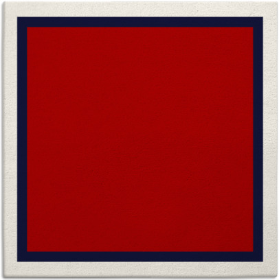 fringe rug - item 878315