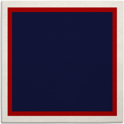 fringe rug - item 878317