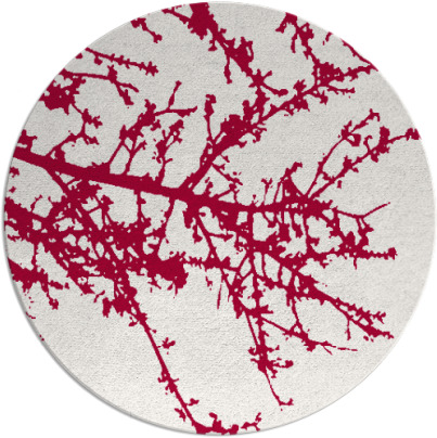 spruce rug - item 891249