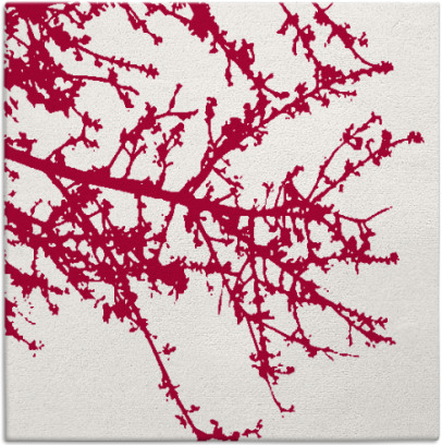 spruce rug - item 891257