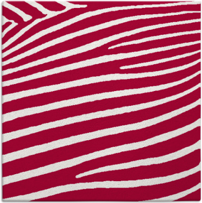 zebra rug - item 891697