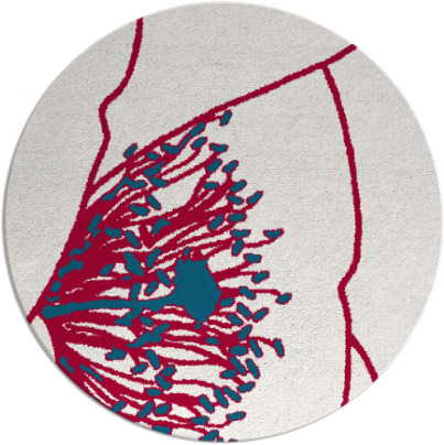 i spy rug - item 892511