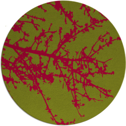 spruce rug - item 899095