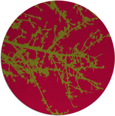 spruce rug - item 899096