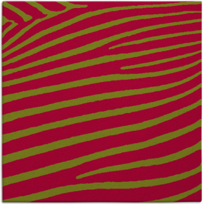 zebra rug - item 899543