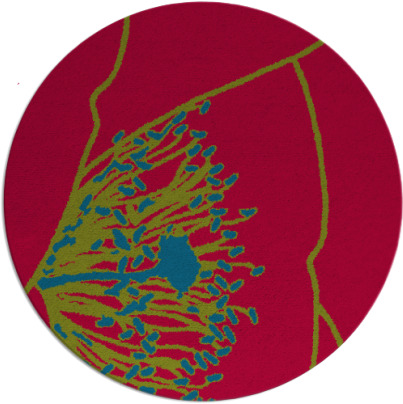 i spy rug - item 900354