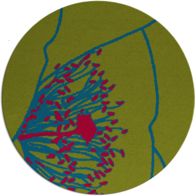 i spy rug - item 900355