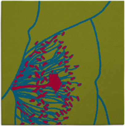 i spy rug - item 900363