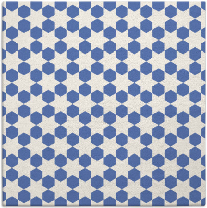 raya rug - item 922413